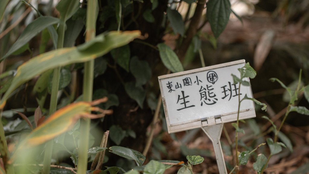 傳說中的「魔神仔洞」| 菁桐古道（汐止段＆平溪段）_2721217