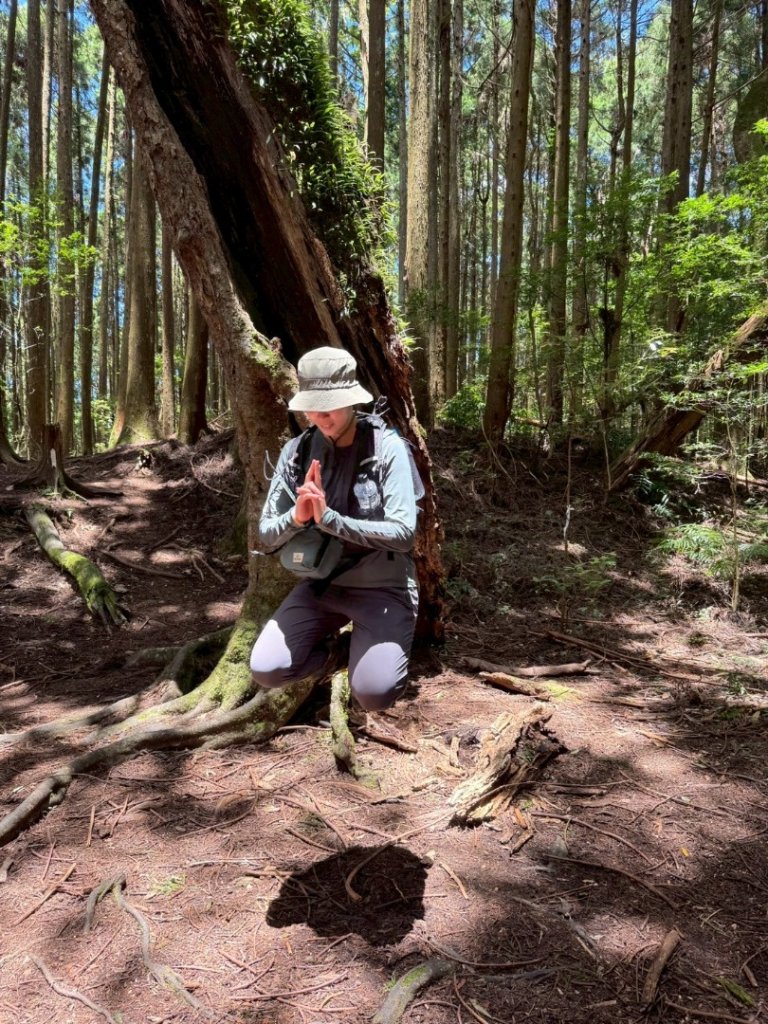 民都有山_2844980