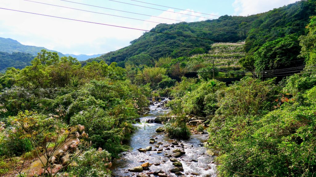 草嶺古道_2962483