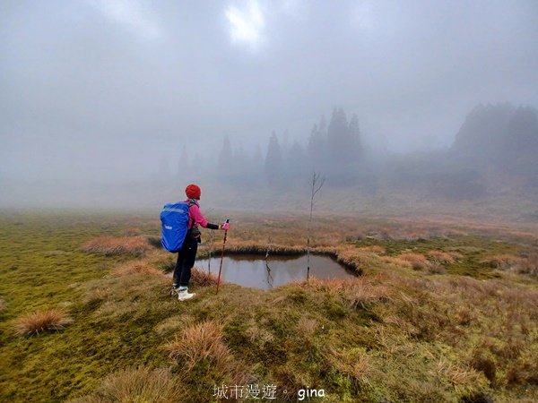 【宜蘭大同】走入魔法森林之仙女散落的珍珠。 太加縱走 (夢幻美的加羅湖)_2469266