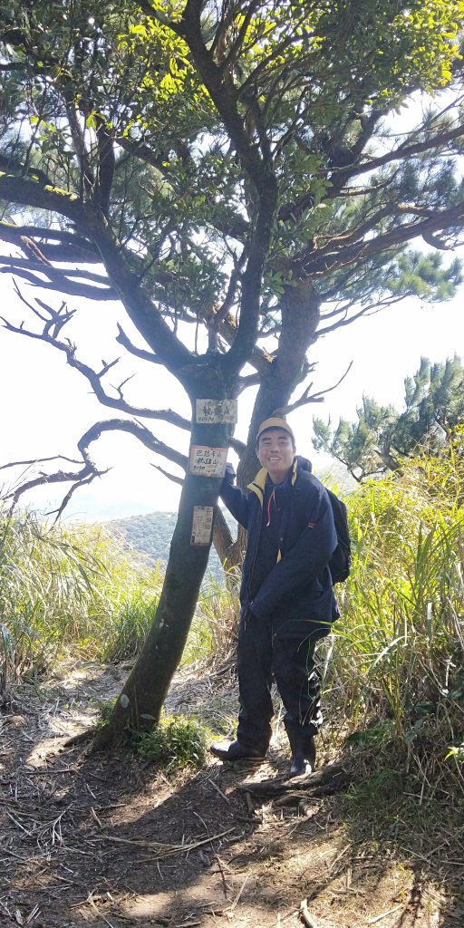 大屯自然公園，菜公坑山，巴拉卡山，逛逛趣_1275528