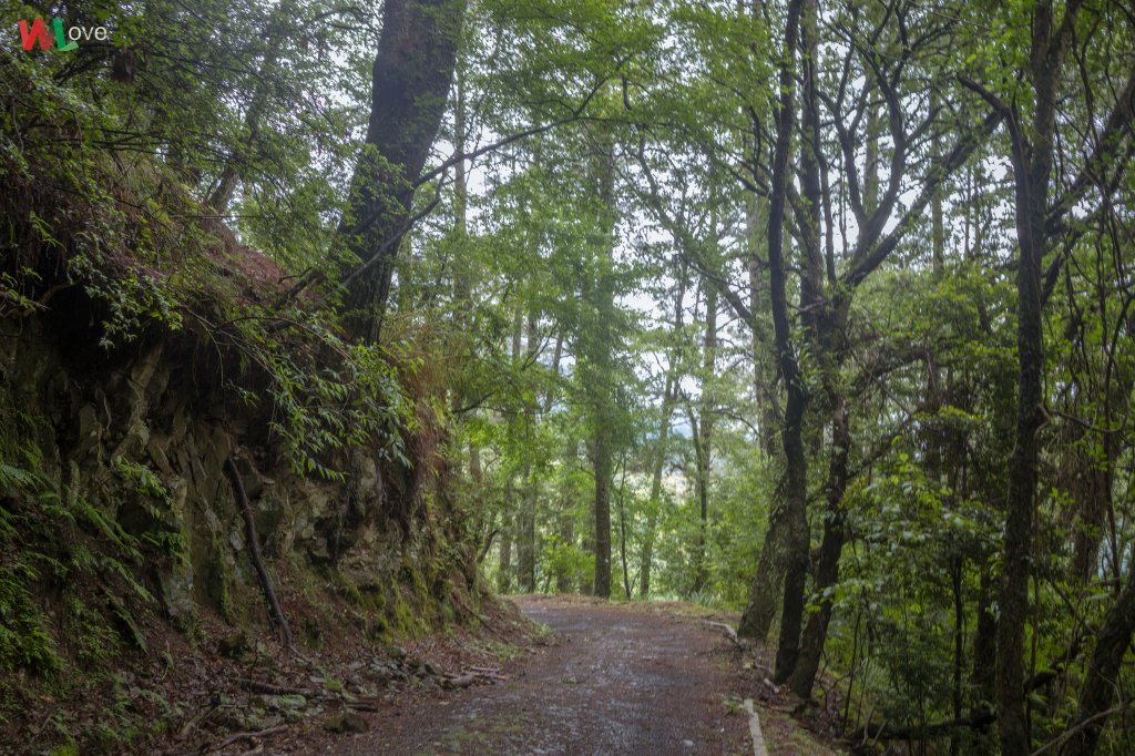 WL 愛旅行【大霸尖山】_626604