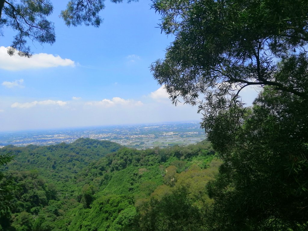 彰化社頭~陡直天梯好視野~中央嶺造林步道_1101650