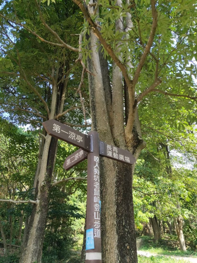 小百岳(43)-三汀山-20200123~【2020全家總動員~28分之03】_1716047