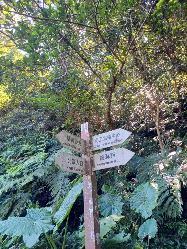 【桃園龍潭】蓊鬱山林。桃園石門山步道_2679307