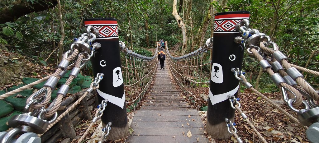 2026/01/01_雪山坑環線步道O型_2978092