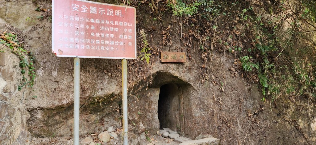 波津加山，太平蝙蝠洞延伸步道，福田賞桐生態步道，美崙山步道，台東鯉魚山_2005381