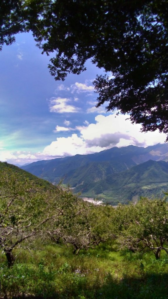 玉穗山 南橫公路_1072824