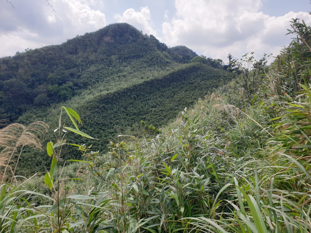 暖暖車站上五分山經荖寮山下荖寮坑回程封面圖