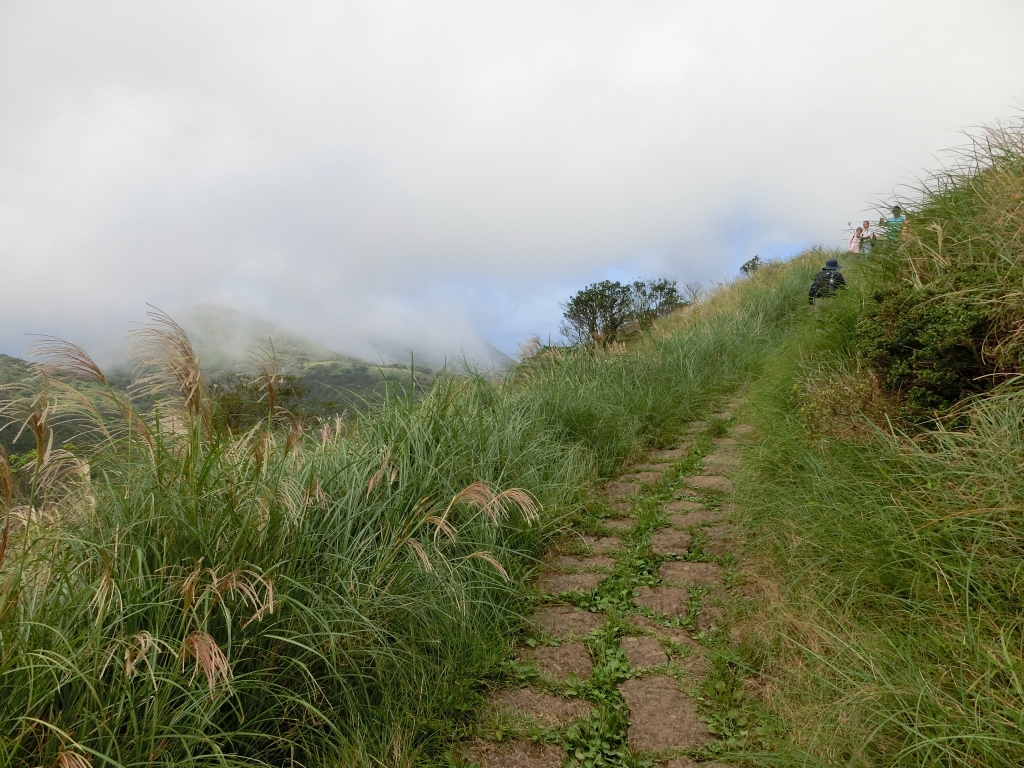 大屯坪．大屯山主峰_94902