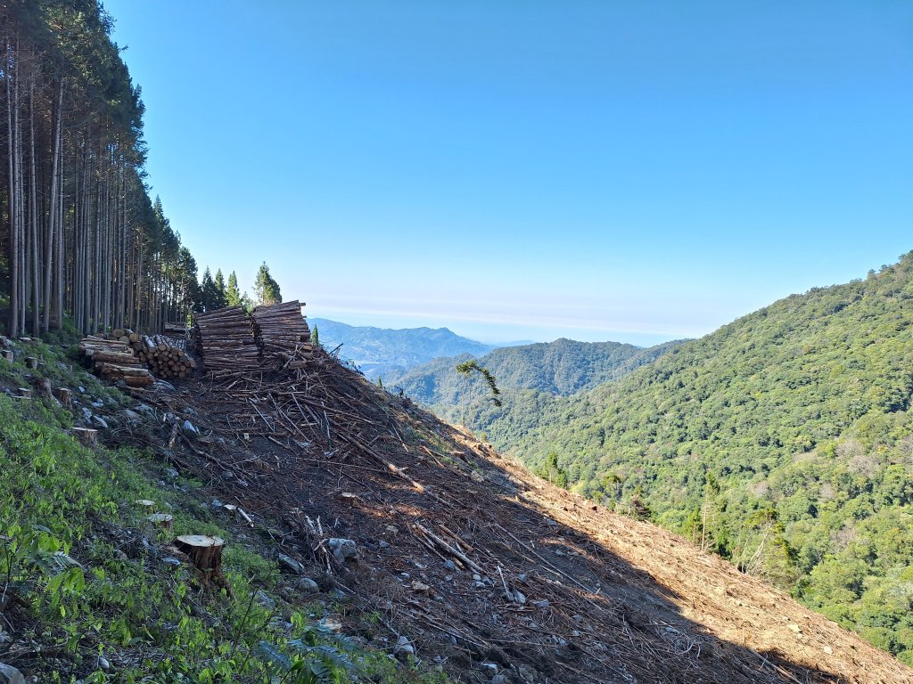 屋我尾山+G(大雪山進老鷹谷出)O型20250216_2713623