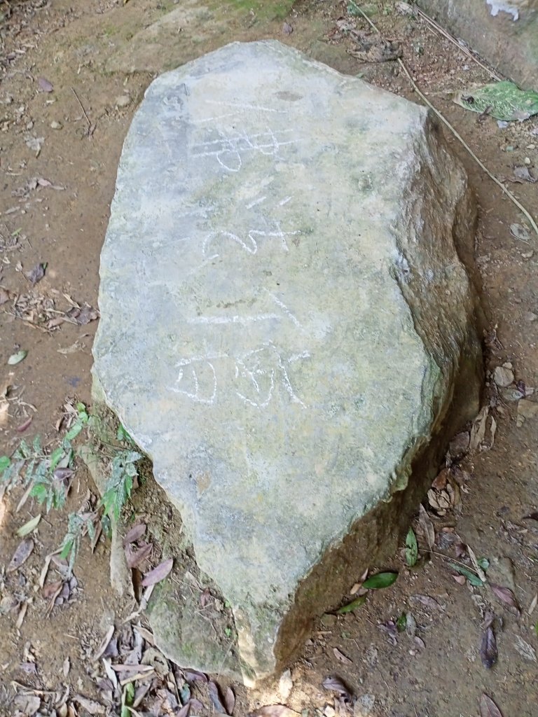 象獅豹虎-四獸山探秘之虎山秘境（2-2 無極瑤池宮→松山慈惠堂停車場出入口）_2066093