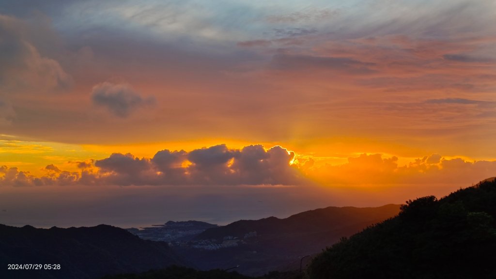 雲山水花鳥蝶 - 天龍國阿伯的日常7/18 & 21、22、29_2560008