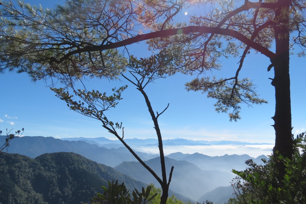 《台中》愛上山｜初登鳶嘴山201612_1412083