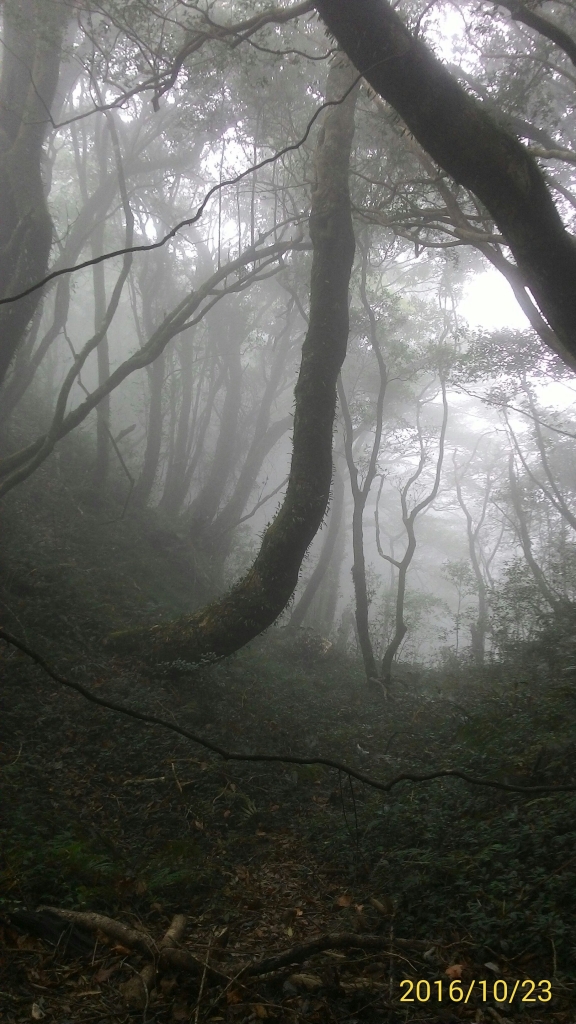 20161023新竹大混山,李棟山縱走_74543