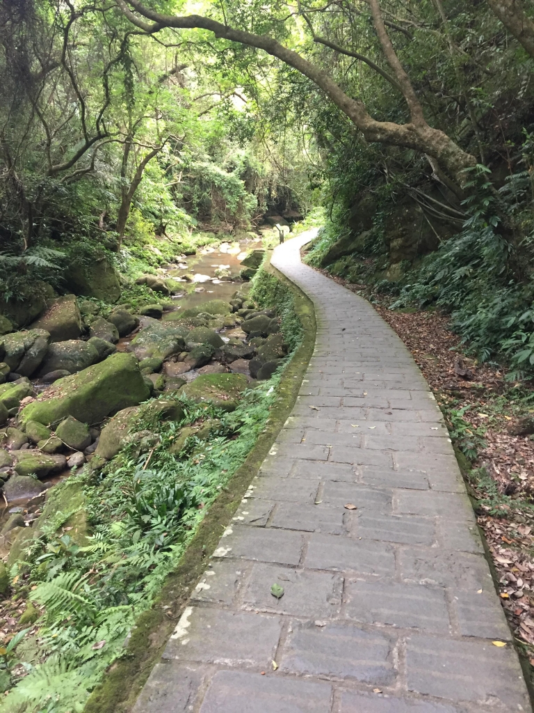 內湖鯉魚山步道_56002