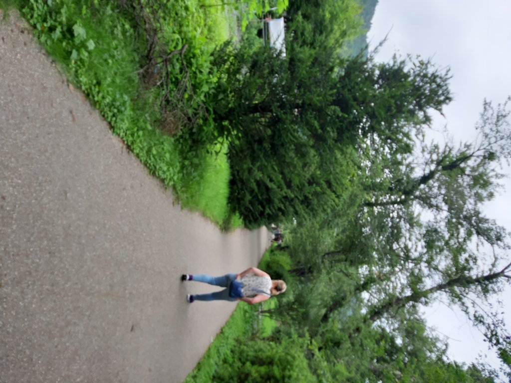 富士山五合目＆忍野八海_642211