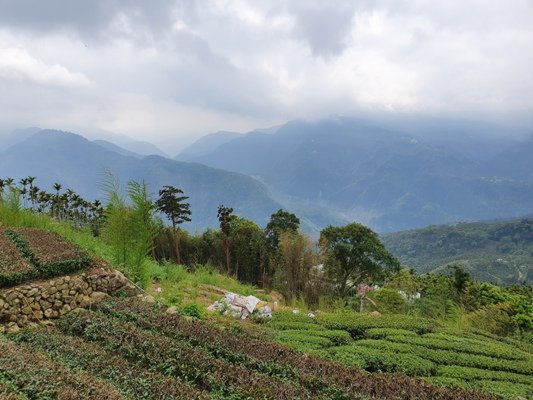 1090405後棟山連走大二尖山_908326