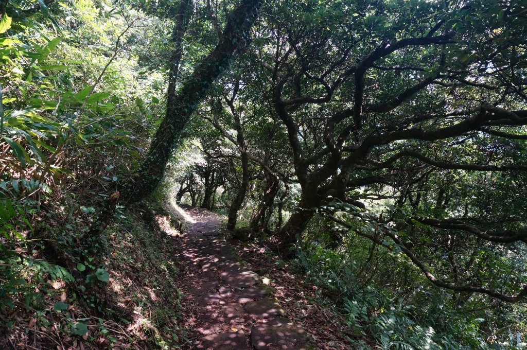 向天池、向天山、面天山連走_1462111