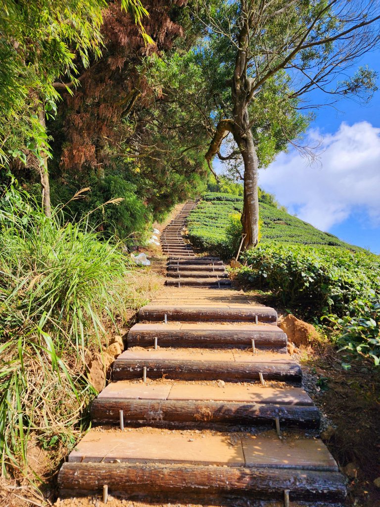 小百岳集起來-梨子腳山_2182941