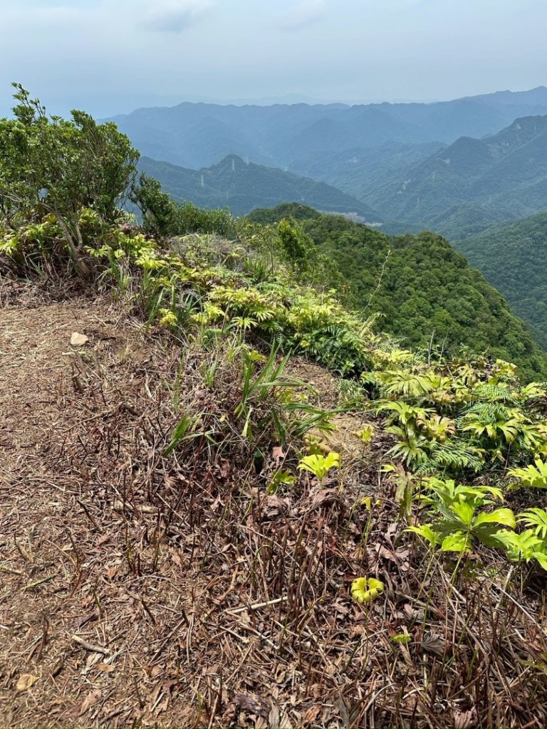 南勢坑山、鑽石峰、人面頭山、獅公髻尾山O走_2809836