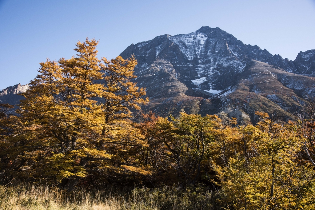 智利百內國家公園健行_53949