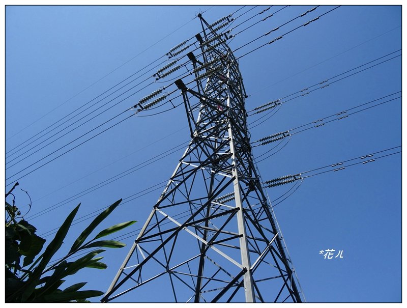 霧峰/諮議會後山步道_917729