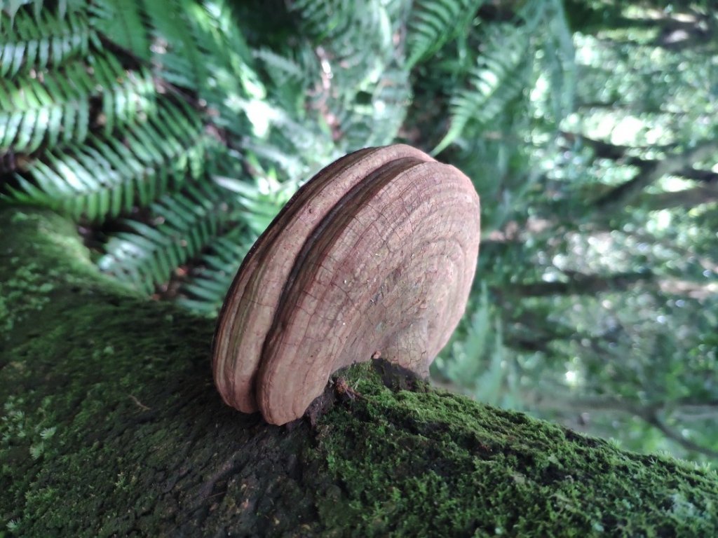 十三分山_1742459