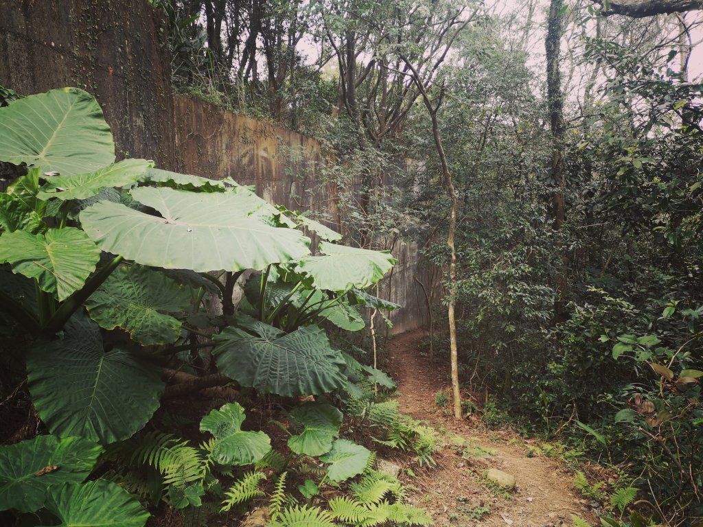 我從福人步道走去大北坑吃好料_818684