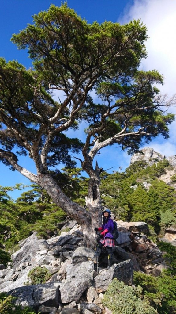 大小霸之行_448500