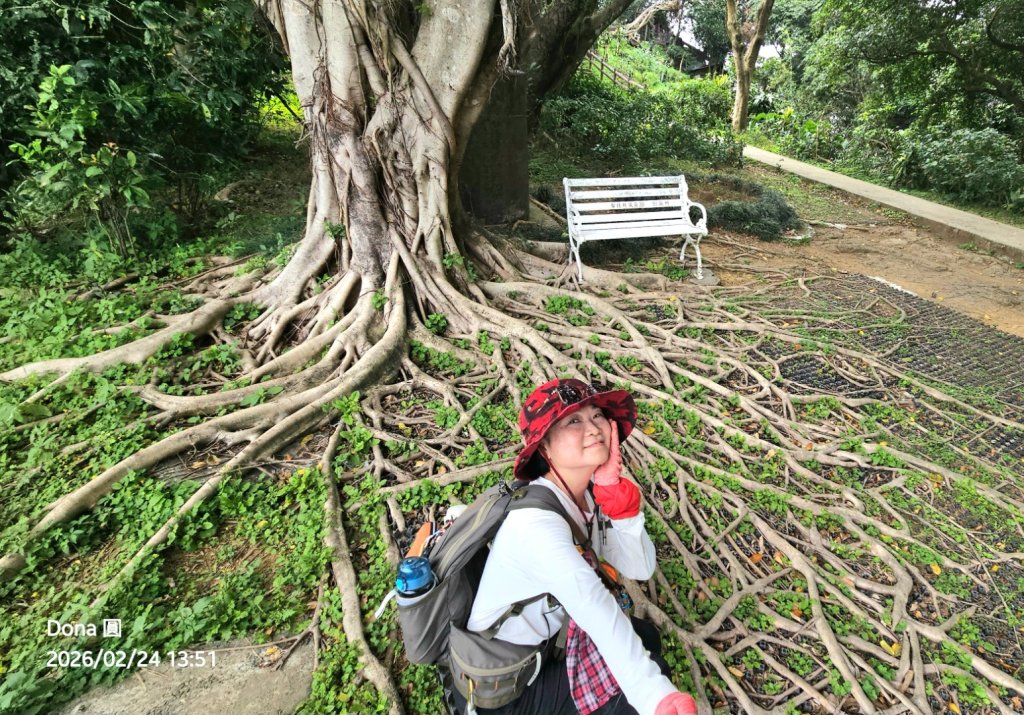 圓通寺烘爐地登山步道大O走_3007117