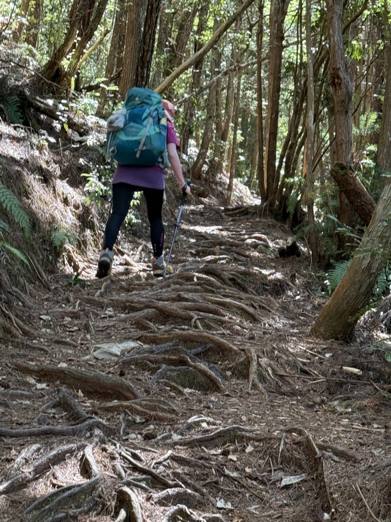 馬崙山 20250906_2889334