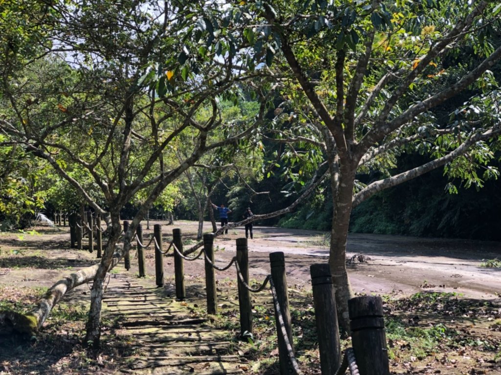 達娜伊谷走里美避難歩道、巨石坂步道_690731