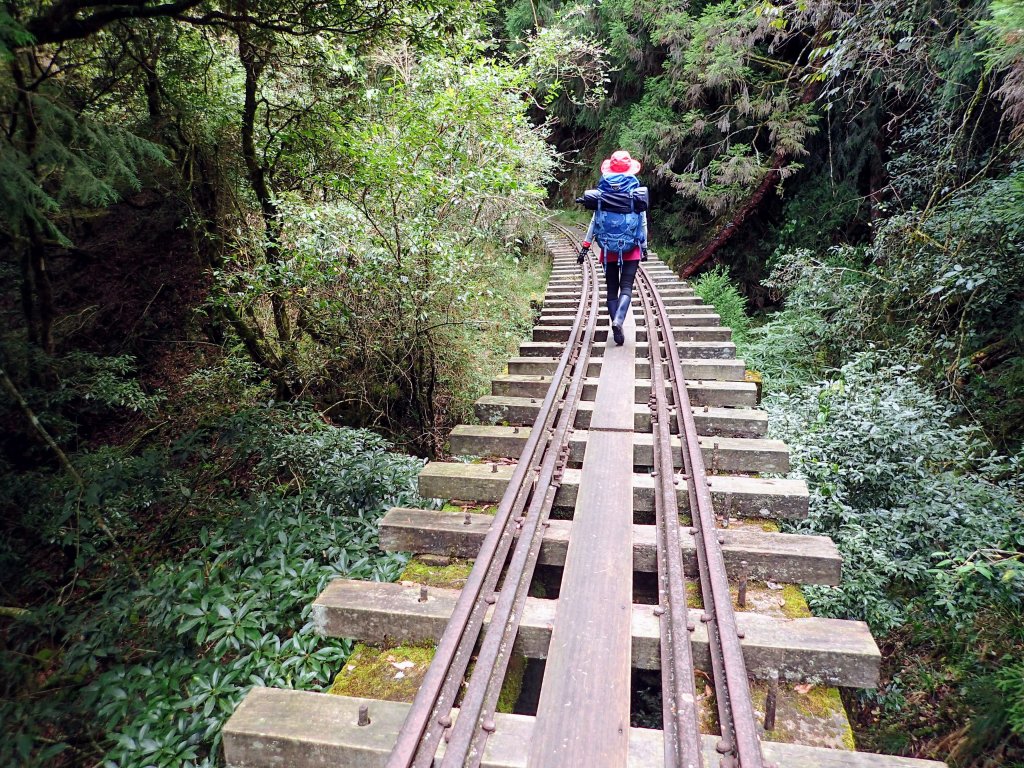 新阿溪縱走_446936