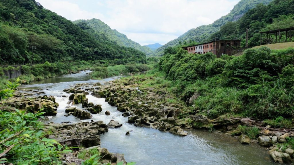 一錢鑽九孔_2531192