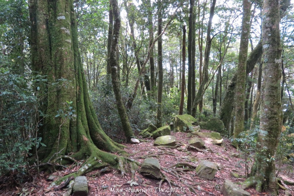 《台中》谷關七雄｜初登屋我尾山20170319_2890423