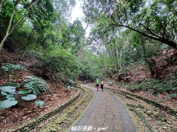 【彰化芬園】台灣百大必訪步道。 挑水古道進碧山古道O型環走封面圖