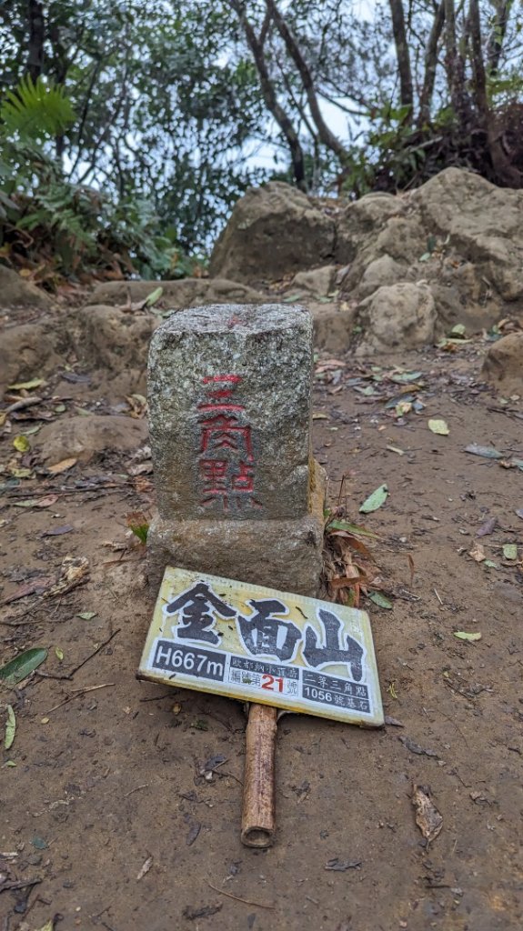 桃園金面山_2380848