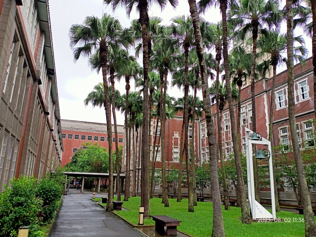 師大本部、中正紀念堂【健康大穀東、走路趣尋寶】_2238024