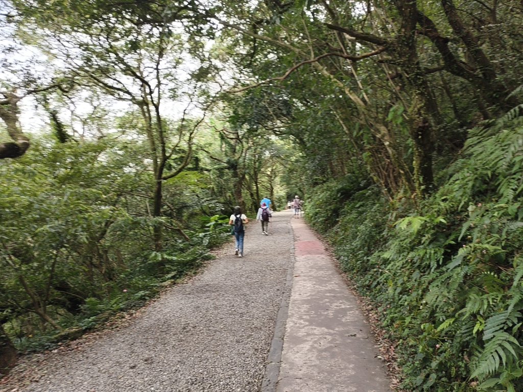 [百山百鳥尋旅-11/15] 2025_0927 大屯主峰-連峰步道_二子坪步道_2899572