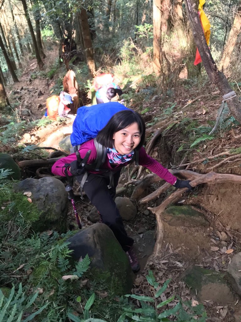 水樣森林 第一次在山裡過夜_659481