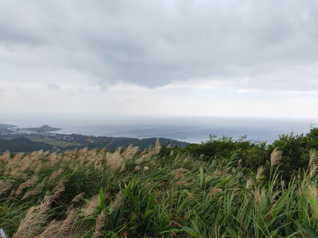 小百岳(81)-大山母山-20201017~【2020全家總動員~28分之25】_1690051
