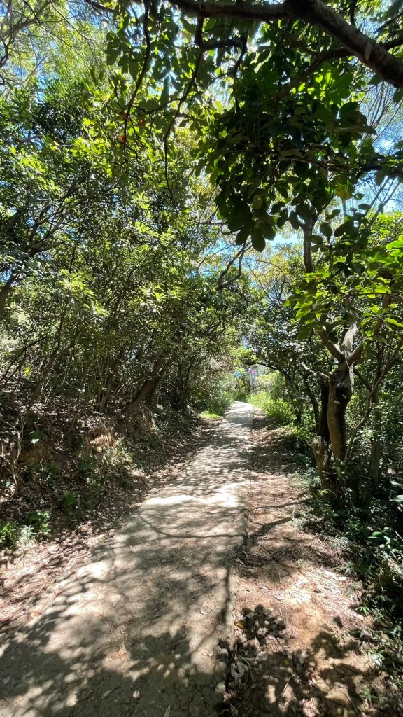 桃園｜蘆竹 五酒桶山步道_1487801