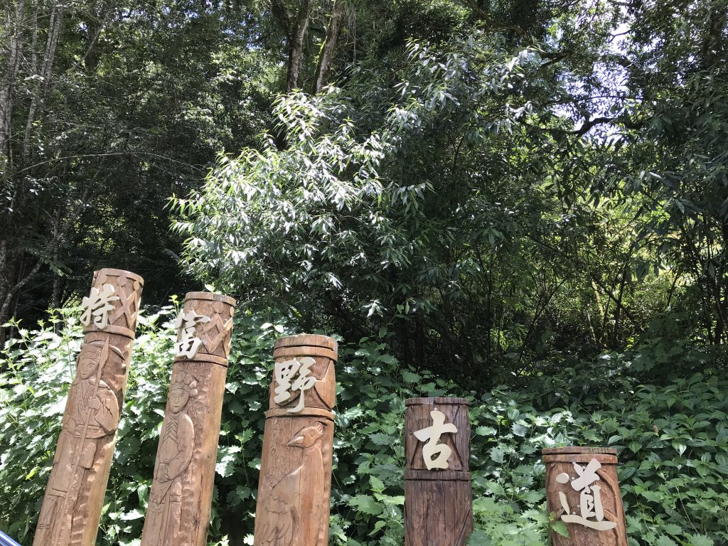 109年6月26日特富野古道_1027173