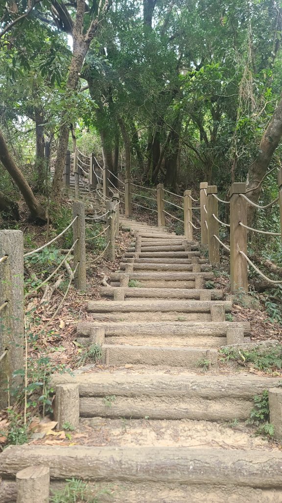 2025-0208聚興山小百岳_2710843