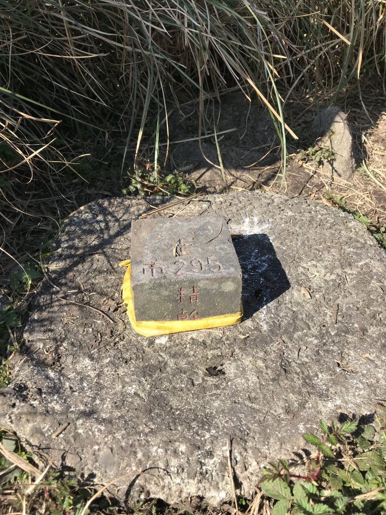 2022.3.12 陽明山縱走 西段 (清天宮-火燒山-向天山-面天山-大屯西峰-大屯南峰-大屯主峰_1664485