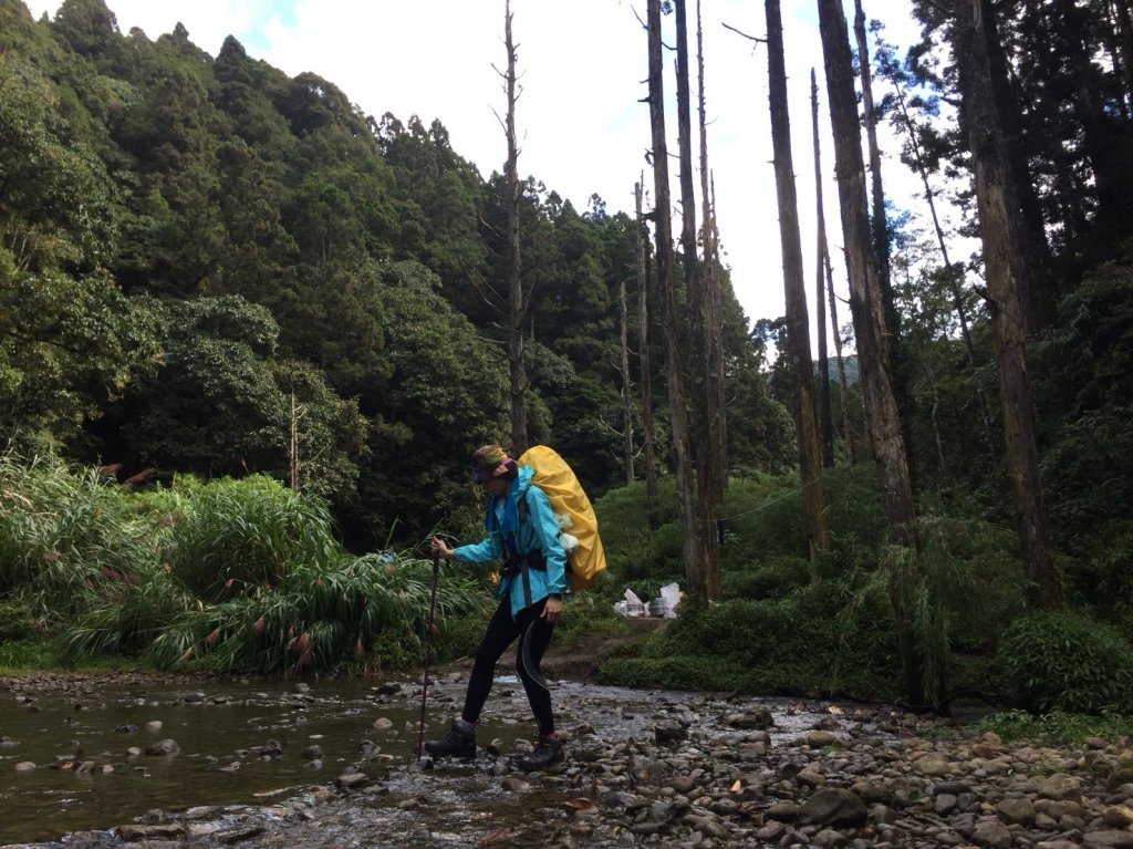 水樣森林 第一次在山裡過夜_659427