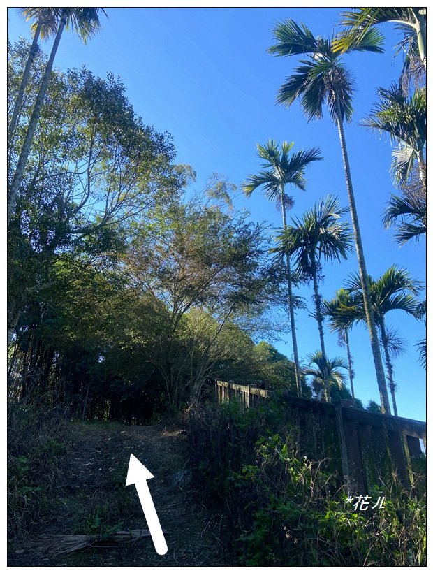 逐鹿古道、雨社山(南投、魚池)_2667418