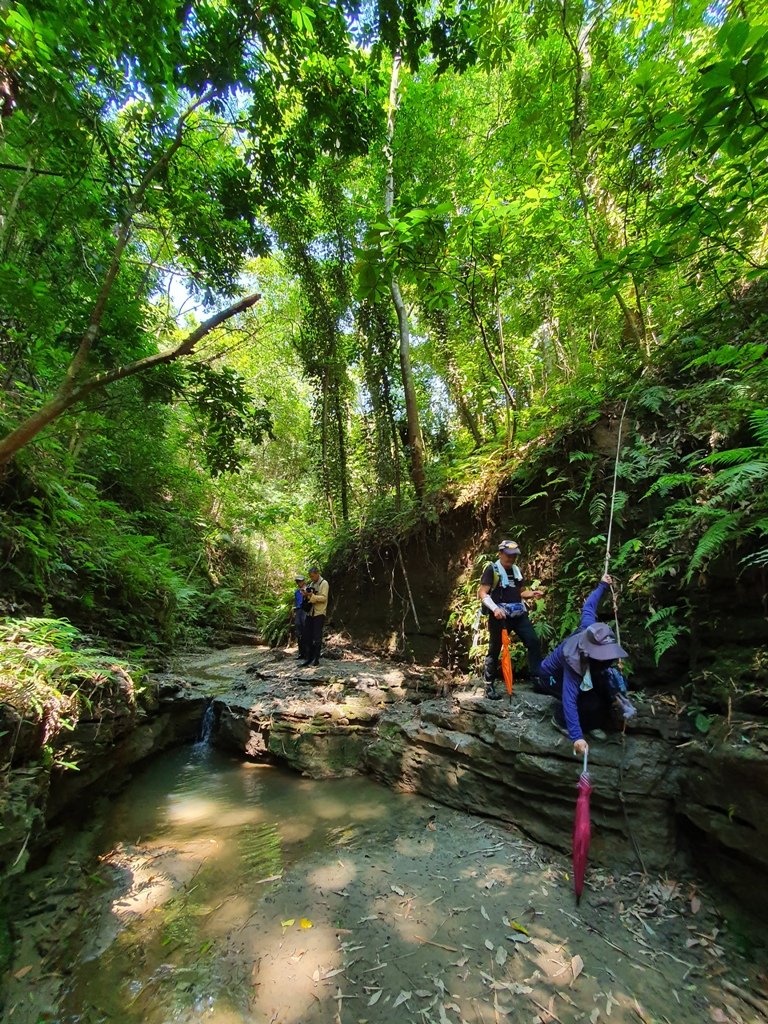 【苗栗】龍王峽谷秘境_1777802