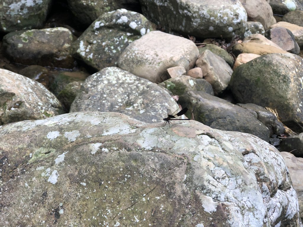 【淡蘭中路】全線連走(經泰平) | 是旅行也是修行_1035139